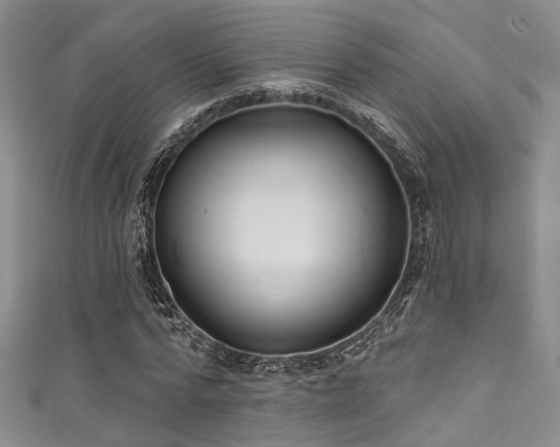 X0000111590776200907161453