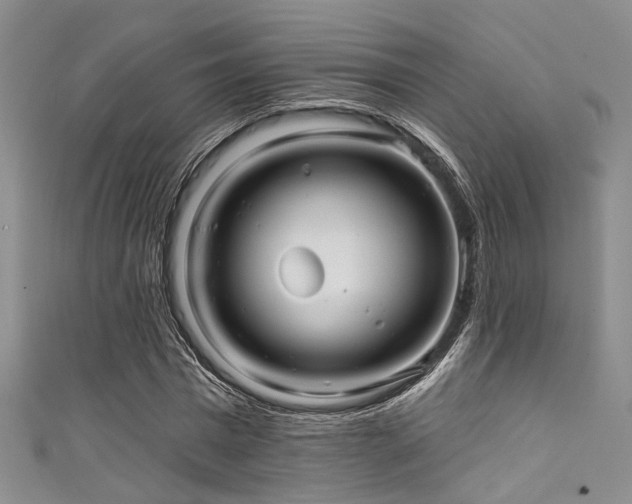 X0000111590777200907161453