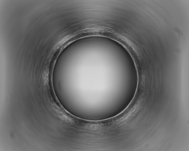 X0000111590778200907161453