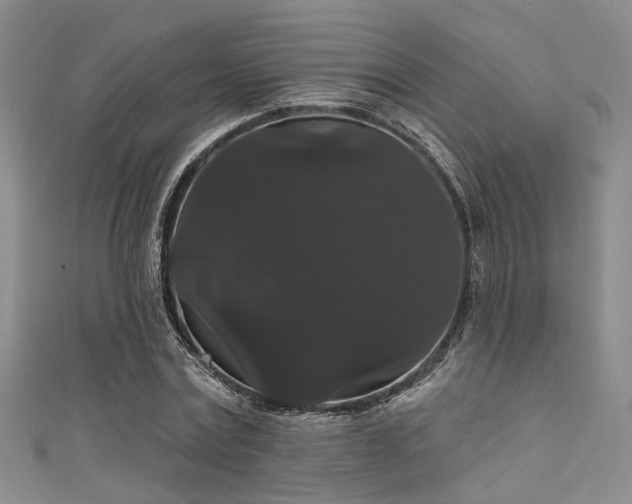 X0000111590779200907161453