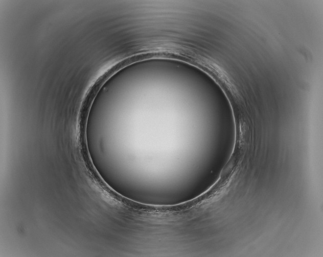 X0000111590780200907161453