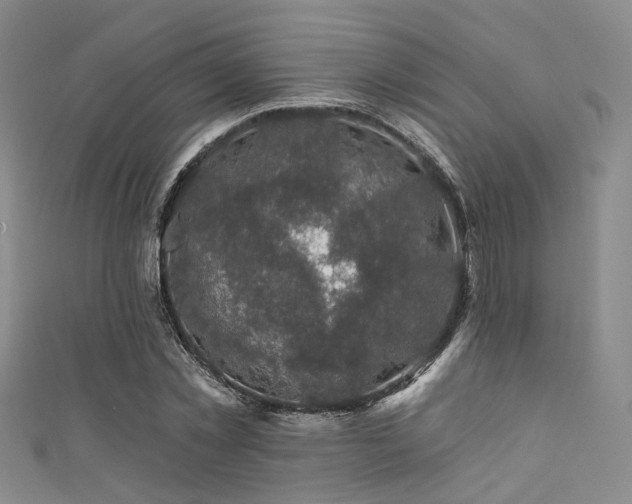 X0000111590781200907161453