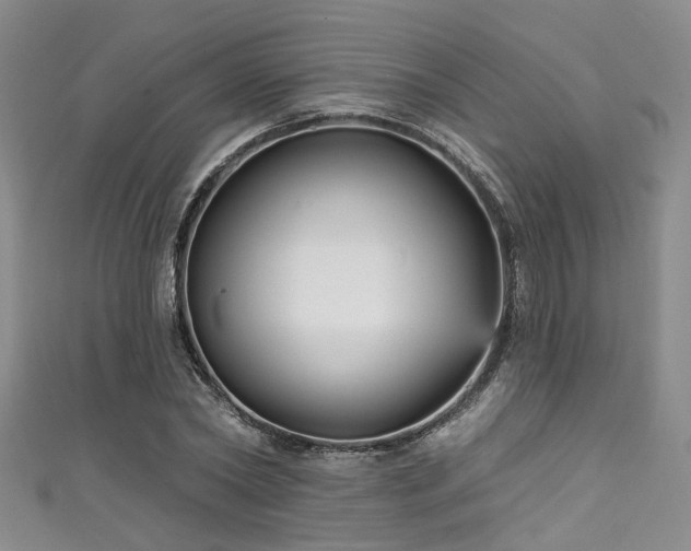 X0000111590782200907161453