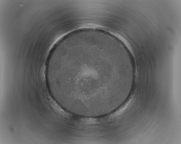 X0000111590783200907161453