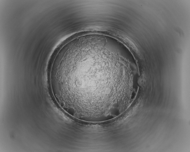 X0000111590784200907161453