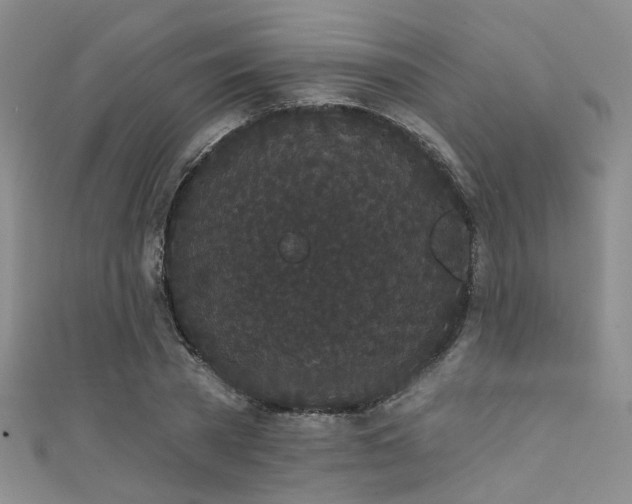 X0000111590785200907161453