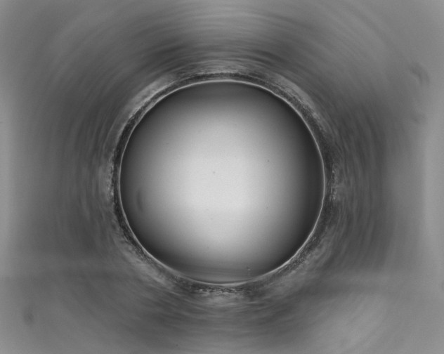 X0000111590786200907161453