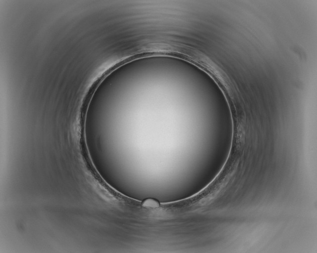 X0000111590787200907161452