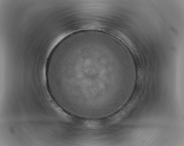 X0000111590788200907161452