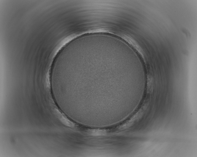 X0000111590789200907161452