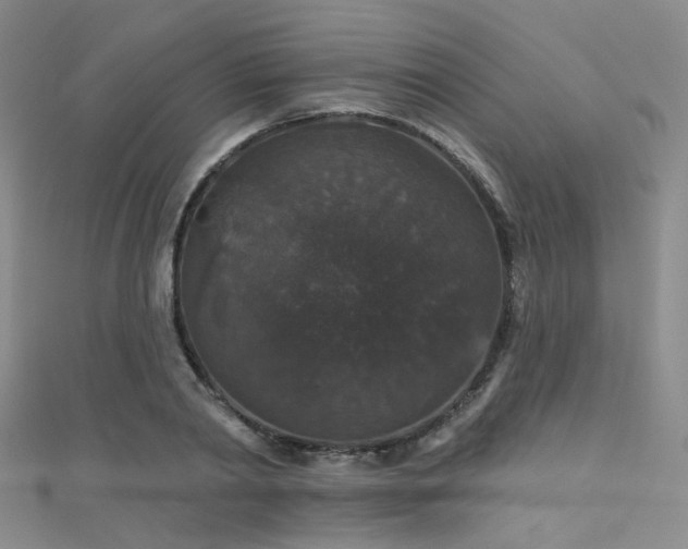 X0000111590790200907161452