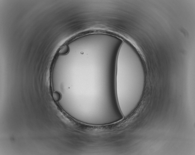 X0000111590791200907161452