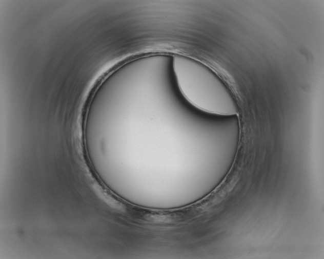 X0000111590792200907161452