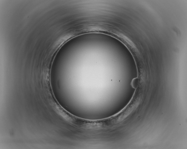 X0000111590793200907161452