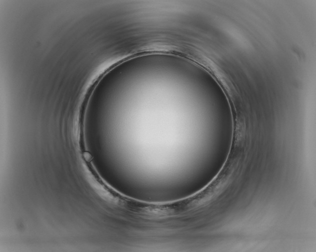 X0000111590795200907161452