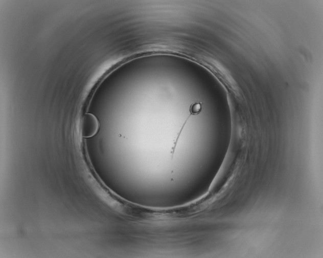 X0000111590796200907161452