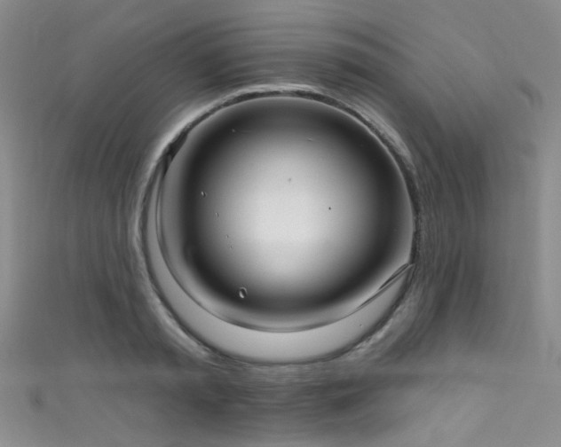 X0000111590797200907161452