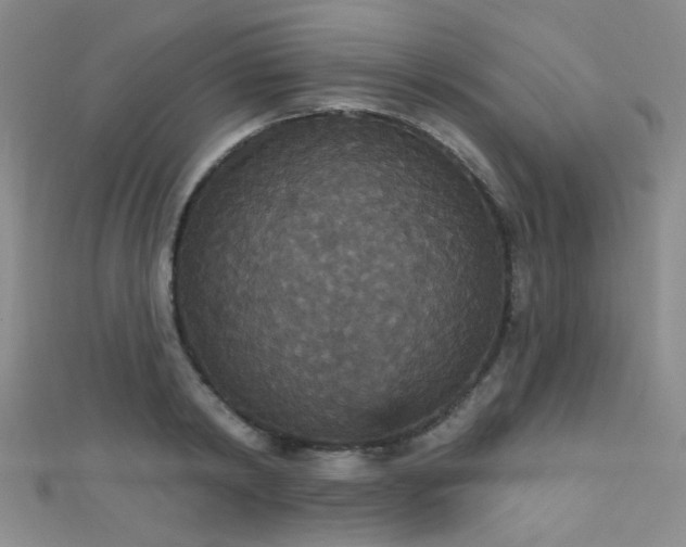 X0000111590798200907161452