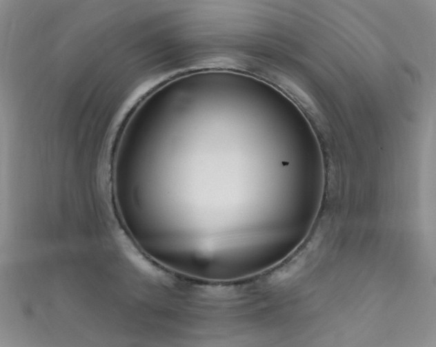 X0000111590800200907161452