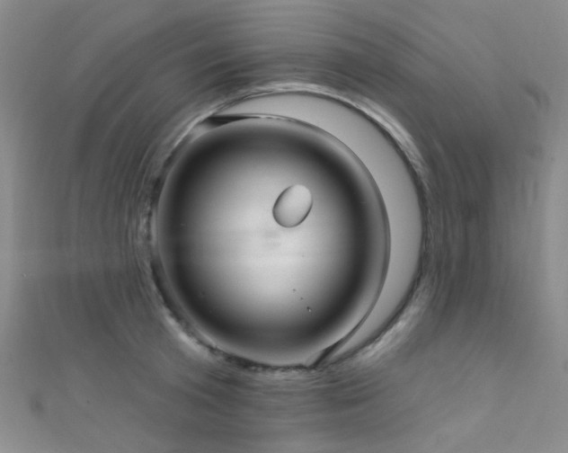 X0000111590801200907161452