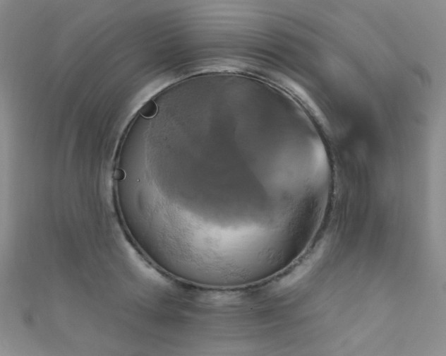 X0000111590802200907161452