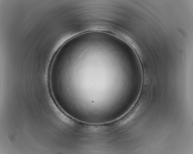 X0000111590803200907161452