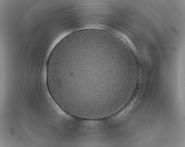 X0000111590804200907161452