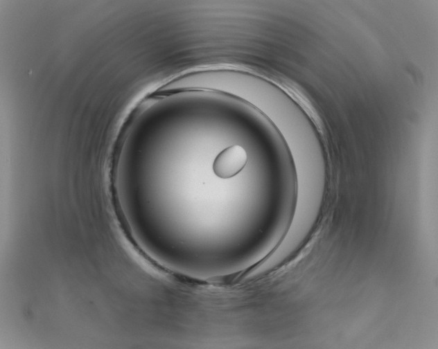 X0000111590805200907161452