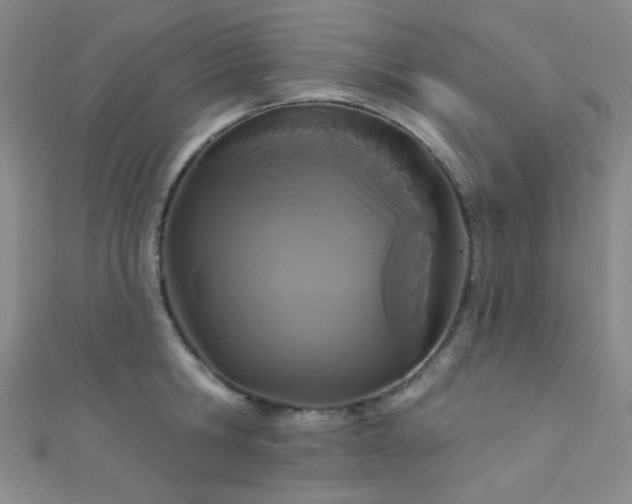 X0000111590806200907161452