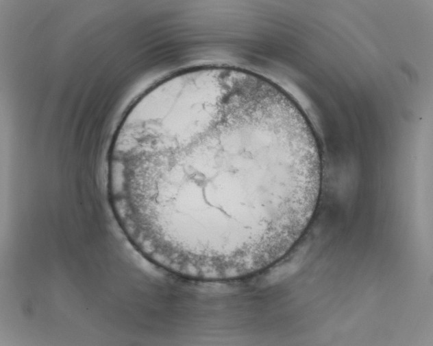 X0000111590807200907161452