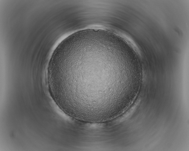 X0000111590808200907161452