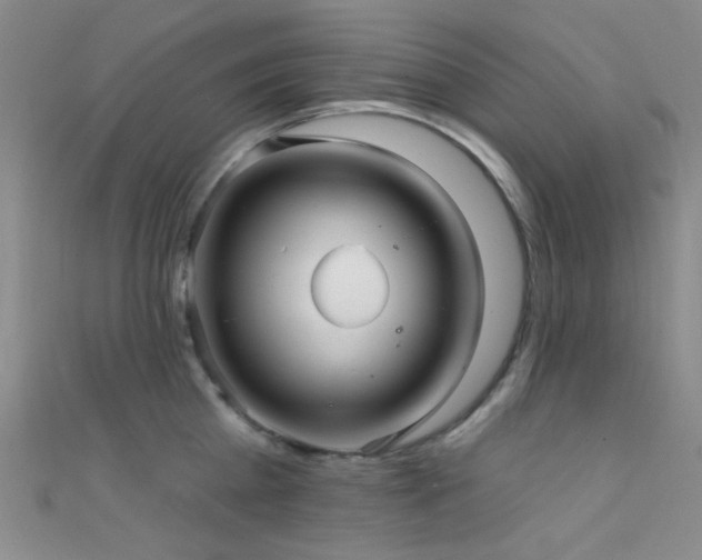 X0000111590809200907161452