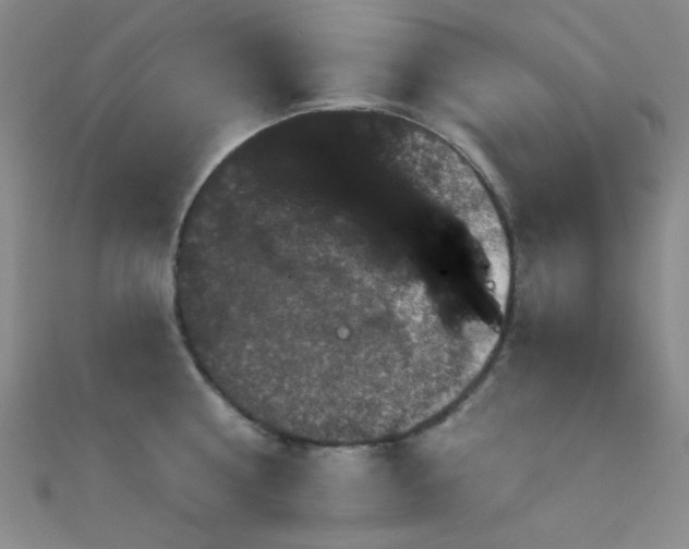 X0000111590810200907161452