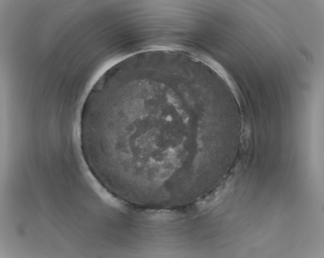 X0000111590811200907161452