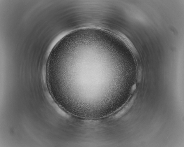 X0000111590812200907161452