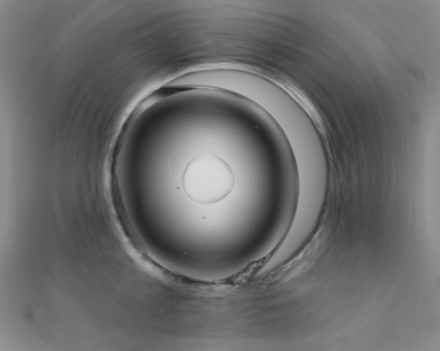 X0000111590813200907161452