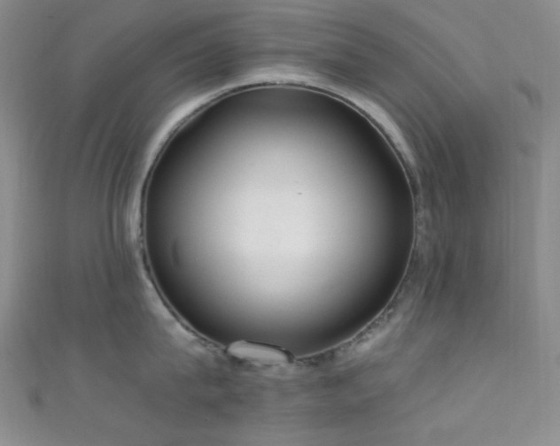 X0000111590815200907161452