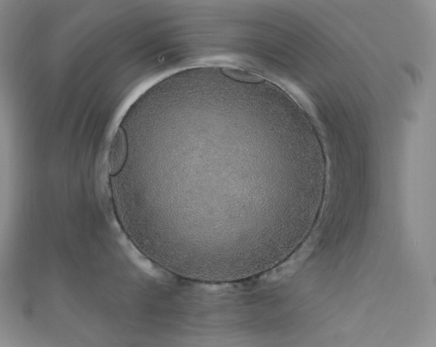 X0000111590816200907161452