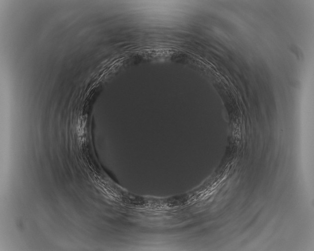 X0000111590818200907161452