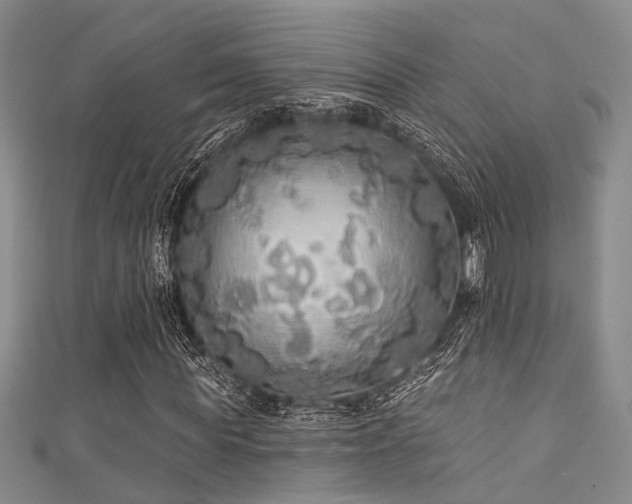 X0000111590819200907161452