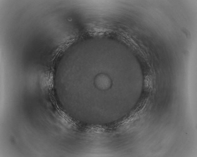 X0000111590820200907161452