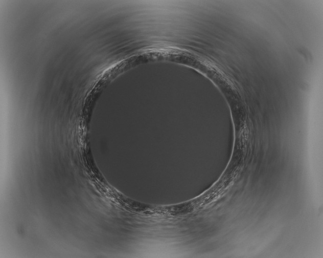 X0000111590822200907161452