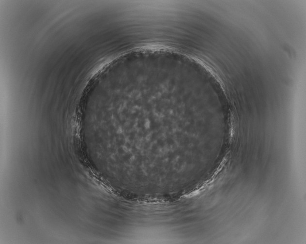 X0000111590823200907161452