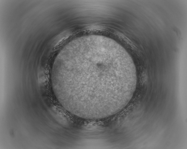 X0000111590824200907161452