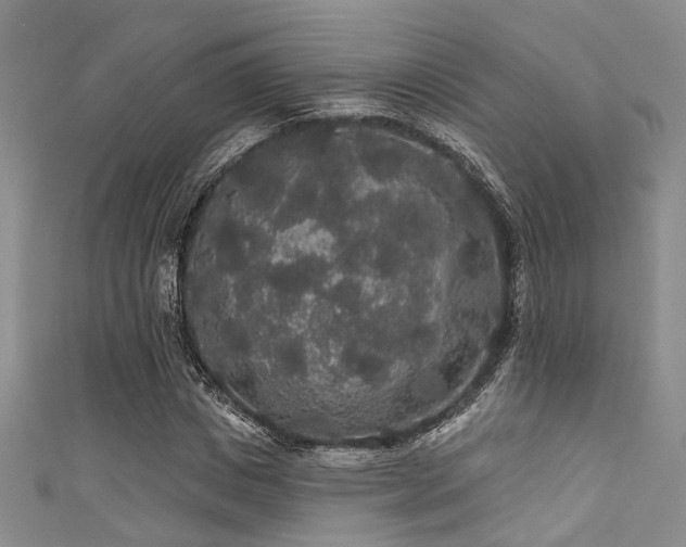 X0000111590825200907161452