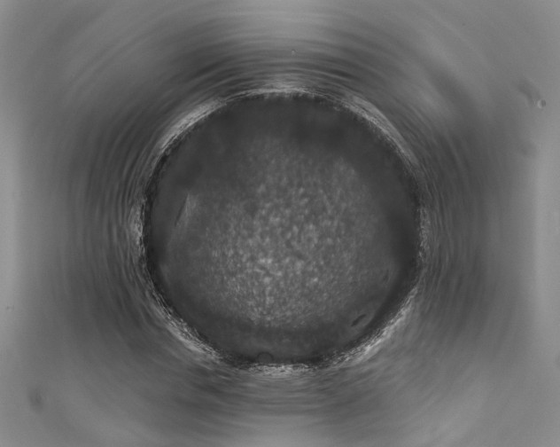 X0000111590826200907161452