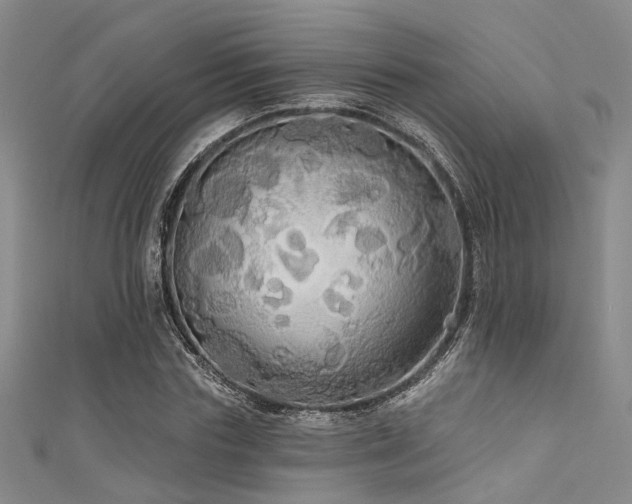 X0000111590827200907161452