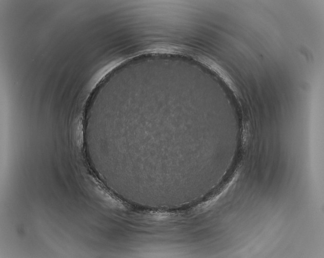 X0000111590829200907161452