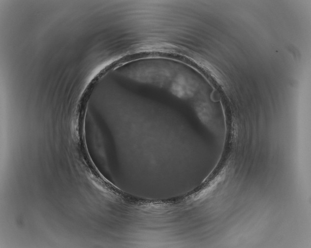 X0000111590830200907161452