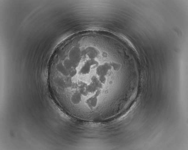 X0000111590831200907161452